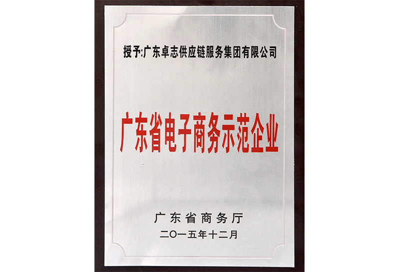 广东省电子商务示范企业